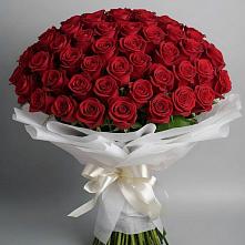 Букет 101 Красная роза Блэк Мэджик в Змиёвке