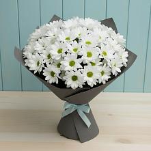 Букет цветов из:  Хризантемы #REPLACE_PRED# Змиёвке