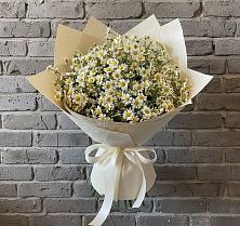 Букет цветов из:  Ромашки в Змиёвке