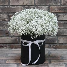 Цветочная композиция из Гипсофила в шляпной коробке в Змиёвке