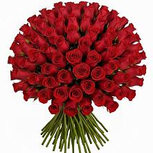 Букет Красные розы Чери Лав в Змиёвке