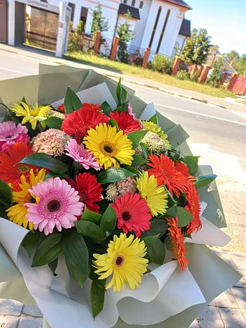 Букет цветов из: Герберы в Змиёвке