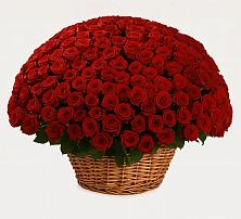 Премиум букет из: Розы в Змиёвке